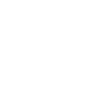 power management icon