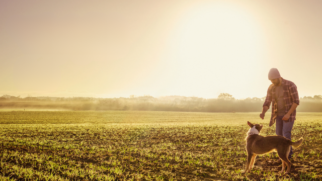 Real Pet Food Hund mit Besitzer auf Feld